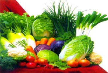 recetatortillavegetariana.jpg